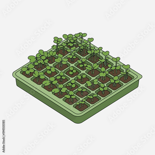 Green Seedling Tray with Young Plants Growing in Cells.