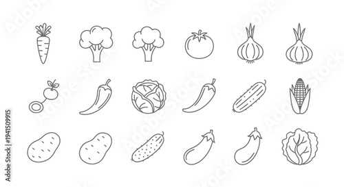 Variety of fresh vegetables and fruits for healthy eating