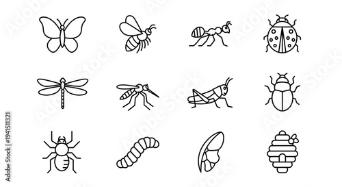 Insects and bugs in simple line art style for design use