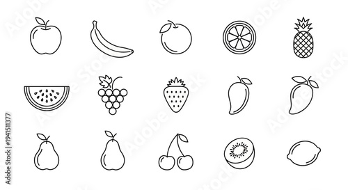 Variety of fresh fruits in simple line art style