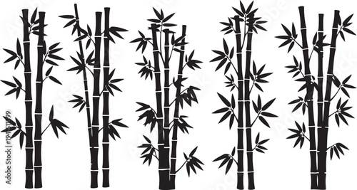 Bamboo Stalks and Leaves in Black Silhouette Isolated White