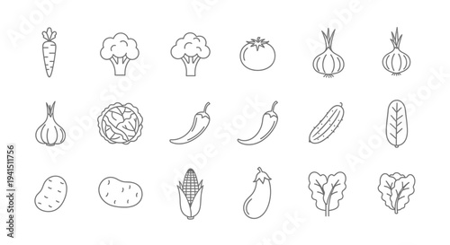 Variety of fresh vegetables for healthy eating and cooking