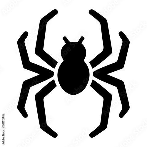 Spider Arachnid Solid Icon