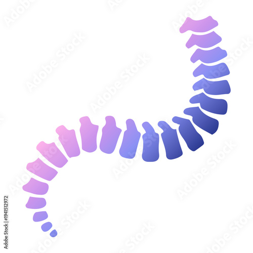 Spinal Cord Section Gradient Icon