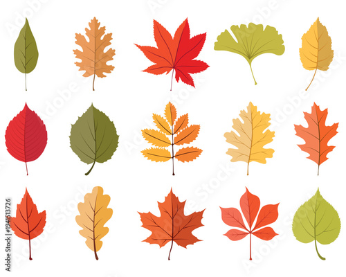 Fall leaves. Colorful autumn leaves, leaf chestnut elm oak, maple forest with yellow, green and orange foliage. Flat vector isolated set