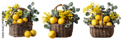 Set of A basket filled with fresh yellow lemons arranged naturally on transparent png background. Ai generated
