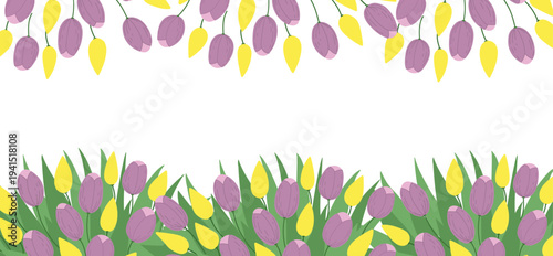 Purple and yellow tulips flower horizontal border in flat cartoon  design. Spring seasonal decoration with tulip and narcissus blossoms, ornament for banner or greeting card. Vector illustration