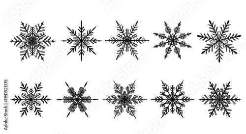 Collection of unique black snowflakes arranged in two neat rows