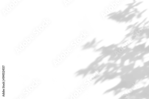 Fotografia shadow overlay effects of realistic abstract natural tree leaves shadow on wall background,Summer sunlight dappled shadow overlay effect,abstract branch shadow