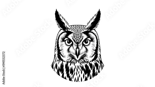 Wallpaper Mural Detailed Black and White Illustration of an Owl's Face with Intense Eyes and Feathered Neck Torontodigital.ca
