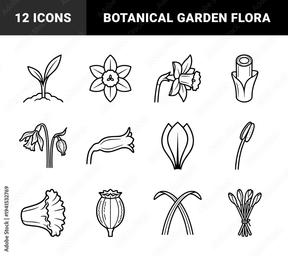 Obraz premium Spring daffodil and narcissus botanical anatomy line art. Minimalist monoline floral elements for garden branding and biological diagrams.
