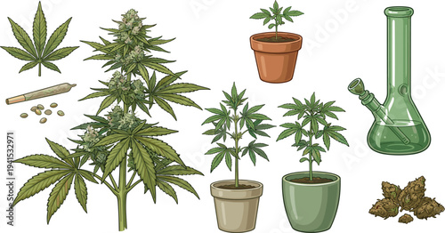 Marijuana plant set with cannabis leaves, buds, seeds, potted plants, joint and glass bong, detailed medical cannabis vector illustration