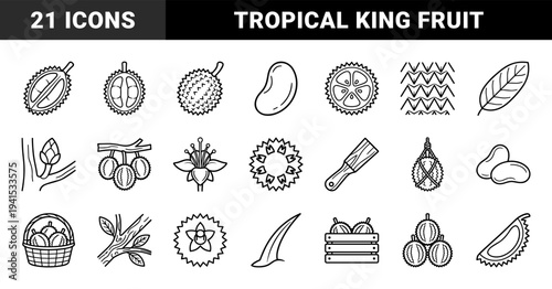 Durian fruit cultivation and harvest botanical elements for agricultural branding. Minimalist monoline pictograms featuring tropical king of fruits, seeds, and blossoms.