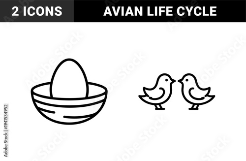 Avian life cycle and nature conservation line art featuring songbirds and an egg in a nest. Minimalist monoline pictograms for environmental education and spring branding.