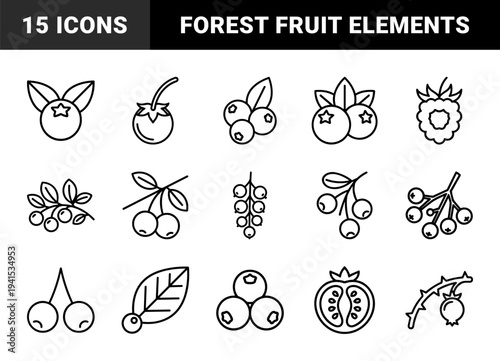 Wild berries and forest fruits botanical elements for healthy lifestyle branding. Minimalist monoline pictograms featuring blueberry, raspberry, and cherry illustrations.