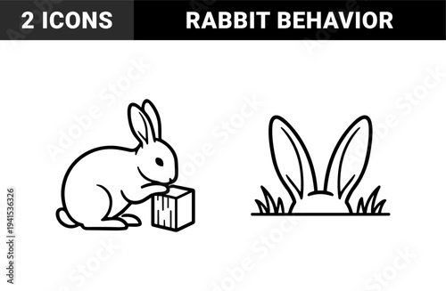 Rabbit behavior and nature habitat elements for veterinary education. Minimalist monoline woodland animal graphics featuring a bunny with a wooden block and ears peaking from grass.