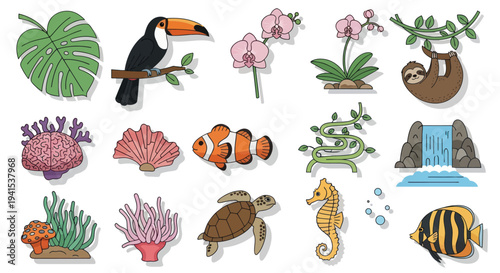Tropical Wildlife and Flora Collection: Toucan Sloth Fish Coral and Orchids.
