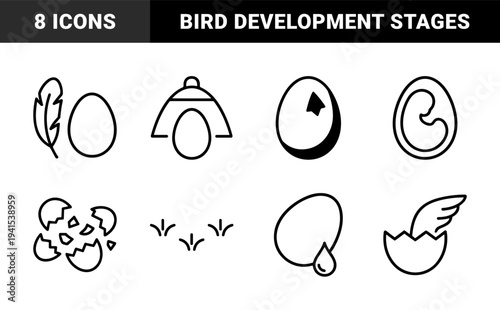 Avian incubation and embryonic development cycles for biology education. Thick monoline linear graphics featuring hatching eggs and poultry growth stages.