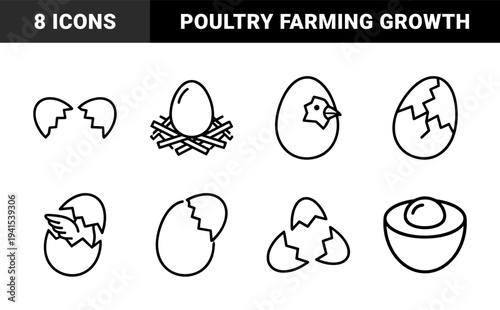 Easter egg hatching and poultry farming lifecycle elements for organic food branding. Minimalist monoline pictograms of chicks and broken shells.