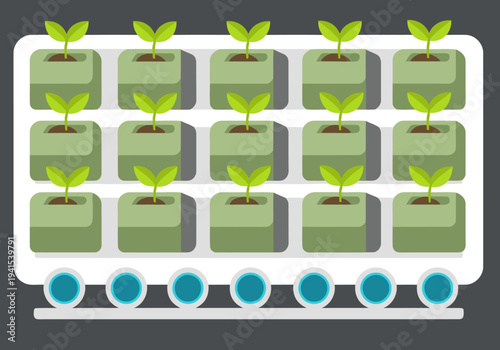 A modern seed germination tray showcases healthy seedlings in a hydroponic system. Clean, bright design ideal for business, technology, or agricultural visuals.