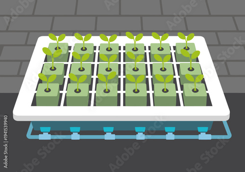Seed germination tray showcases hydroponic seedlings growing under a nutrient system. A clean, modern design highlights plant growth. Ideal for science, agriculture, or educational visuals.