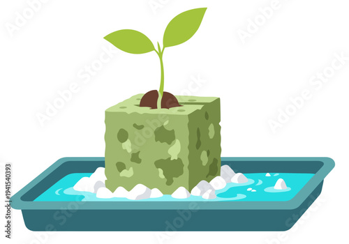 A vibrant seedling sprouts from a rockwool cube in a hydroponic setup. Clean, modern design highlights plant growth. Ideal for nature, gardening, and sustainable concepts.