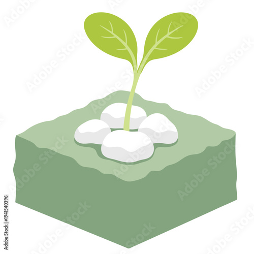 A vibrant seedling sprouts in a hydroponic rockwool system. Modern, clean design highlights plant growth. Ideal for health, sustainability, and agricultural visuals.