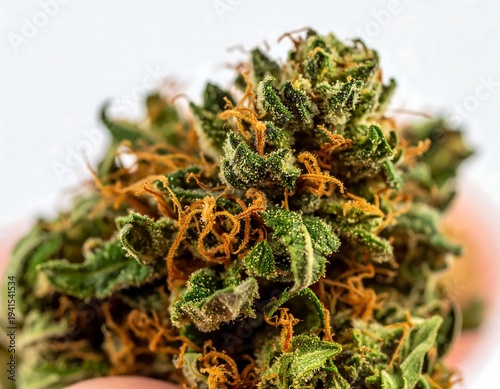 Close-up of a green and orange cannabis bud