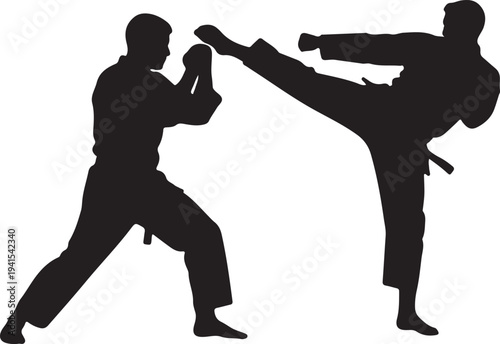 Martial arts training with kicking and punching techniques