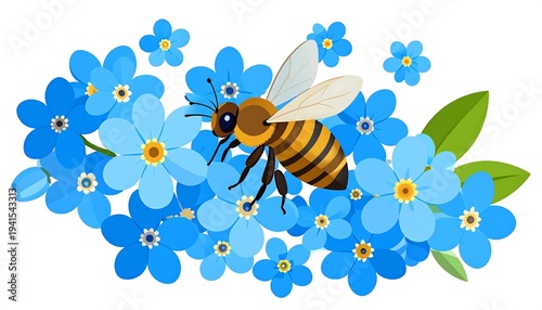 Bee on blue forget-me-not flowers with yellow centers, green leaves, on a white background