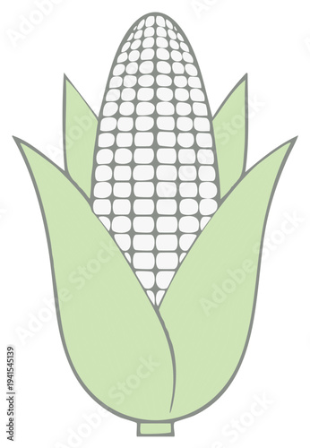 A fresh ear of corn with light green husk, minimalist illustration of healthy produce, a harvest staple or vegetarian food element.