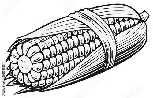 Black and white illustration of ripe corn