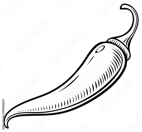 Chili Pepper Vector Illustration.