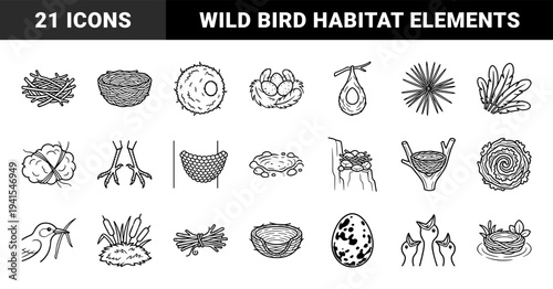 Avian nesting and bird breeding cycle elements for educational biology. Bold monoline illustrations featuring eggs, feathers, and varied nest structures.