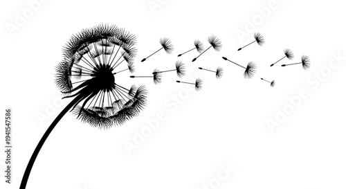 Dandelion Seeds Dispersing in the Air.