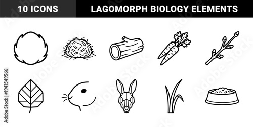 Rabbit care and lagomorph biology elements in technical monoline aesthetic. Minimalist outline symbols for pet husbandry and natural history education.