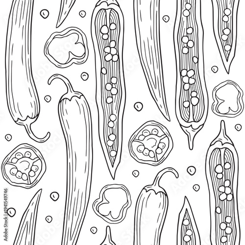 Hand-drawn seamless pattern of sliced chili pepper and chili seeds and slices graphic sketch for ingredients or product design
