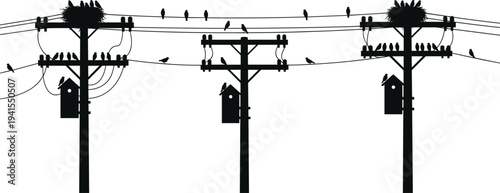 Birds sitting on electric power lines and utility poles with birdhouses silhouette illustrating urban wildlife and electricity infrastructure concept