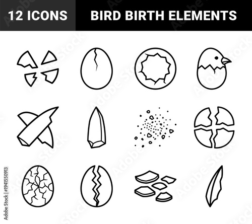 Hatching process and eggshell fragility concepts for educational biology diagrams. Technical monoline linear symbols of cracked eggs and newborn chicks.