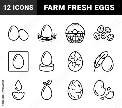 Avian reproduction and culinary egg preparation symbols. Minimalist monoline pictograms featuring bird nests, cracked shells, and organic farming concepts.