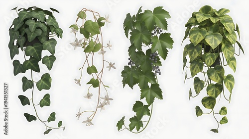 green leaves on white background