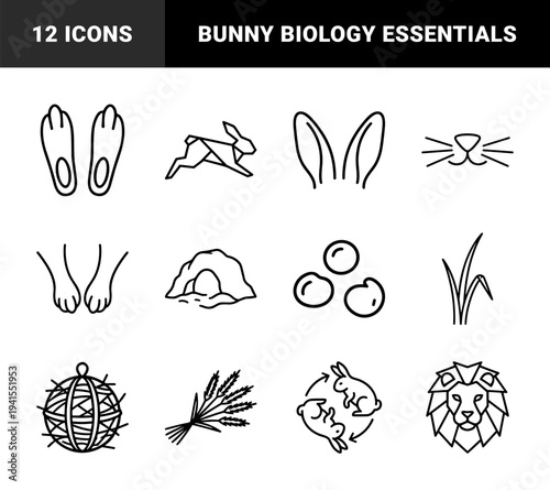 Rabbit care and lagomorph biology line art elements for veterinary clinics. Monolinear pictograms featuring bunny anatomy, diet, and habitat concepts.