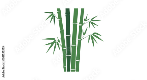 Illustration of green bamboo stalks with leaves on a white background