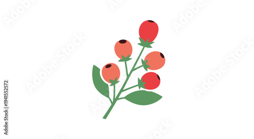Simple illustration of red berries on a green stem with leaves