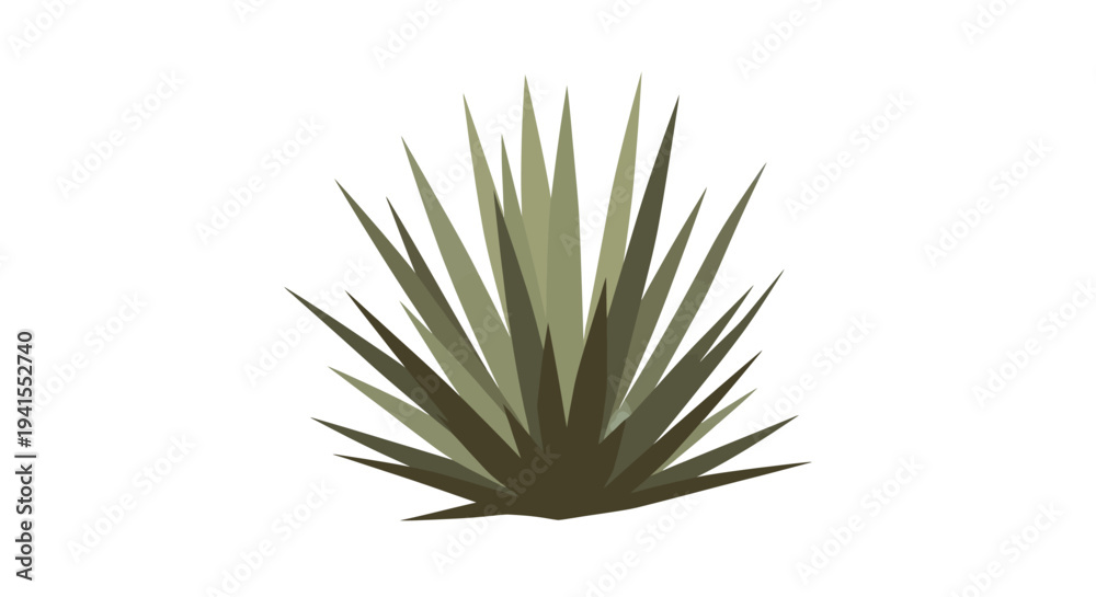 Fototapeta premium Green Agave Plant Illustration - Natural Desert Flora