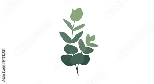 Eucalyptus Leaves Illustration Minimalist Design