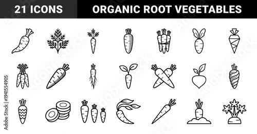 Carrot and root vegetable elements for healthy lifestyle branding. Minimalist monoline graphics featuring garden harvest and organic food concepts.