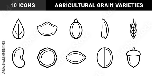 Organic seed and grain variety for agricultural branding. Minimalist monoline plant embryos and cereal kernels for farm to table packaging design.