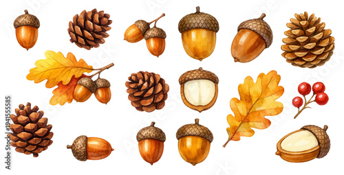 A charming watercolor collection of autumn forest elements featuring acorns, pinecones, oak leaves, and berries illustrated in a warm seasonal botanical style.