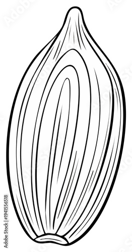 Illustration of a single seed with swirling lines depicting growth and potential in a stylized drawing